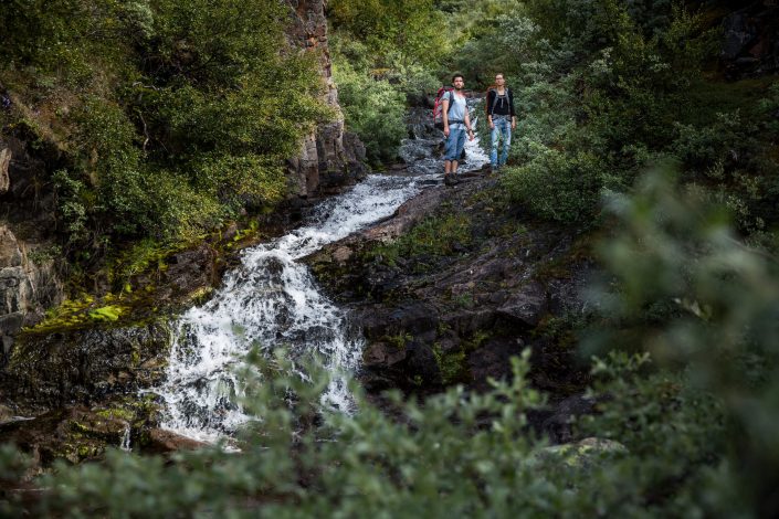 A waterfall in the forest near Narsarsuaq. Photo by Mads Pihl.