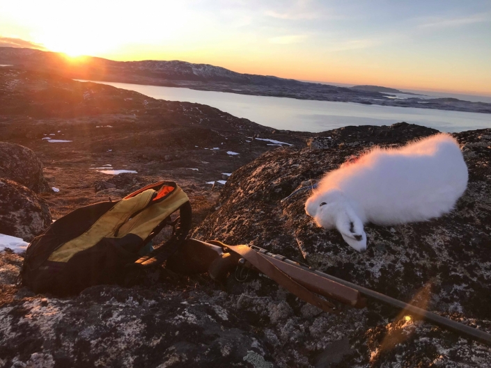 Landscape photo of arctic hare riffle and backpack with sunset. Visit Greenland.jpg