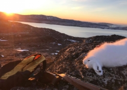 Landscape photo of arctic hare riffle and backpack with sunset. Visit Greenland.jpg