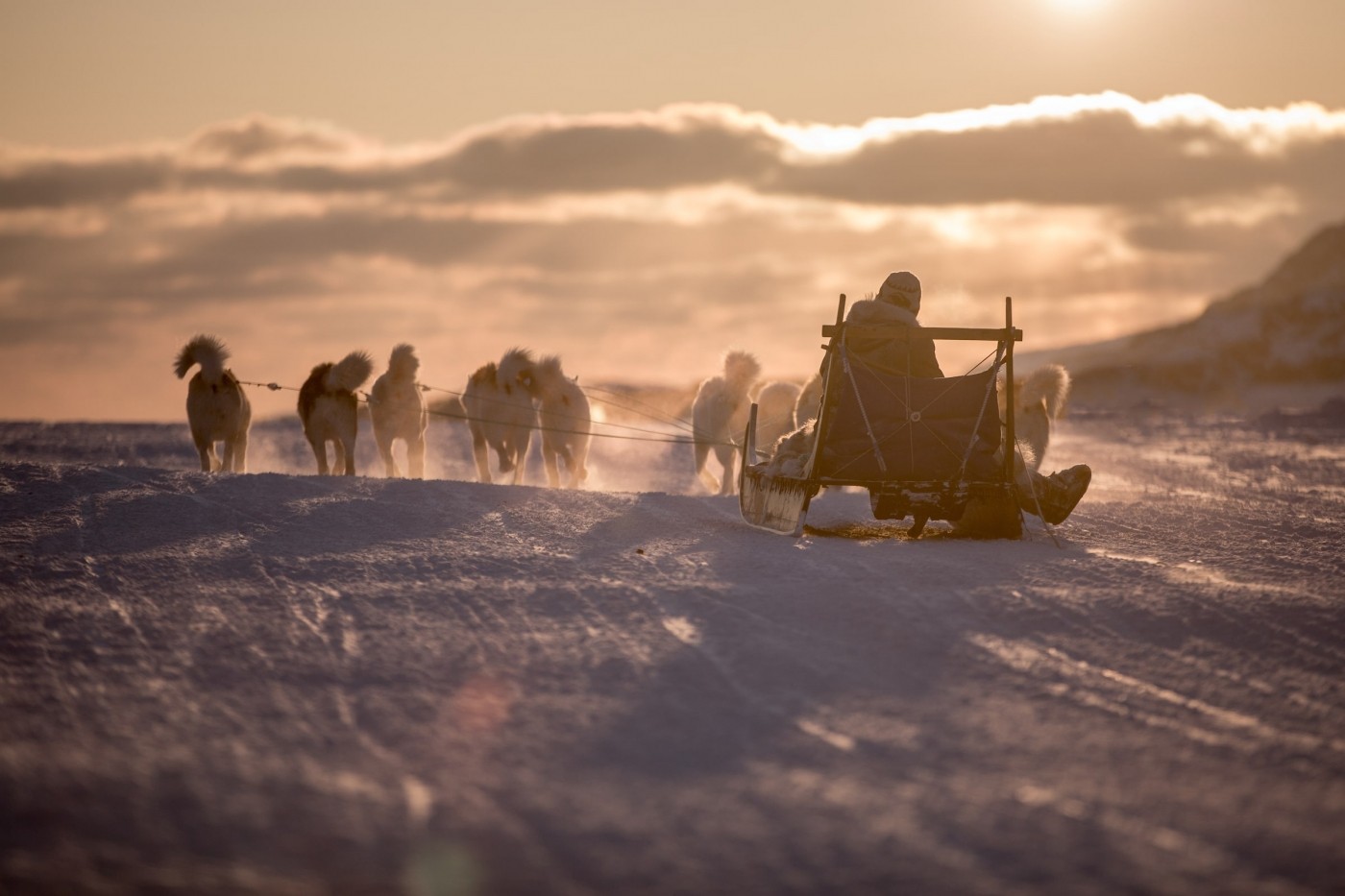 A dog sled heading into the sunset near Sisimiut in Greenland. Photo by Mads Pihl - Visit Greenland