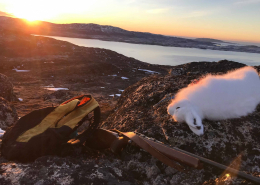 Landscape photo of arctic hare riffle and backpack with sunset. Visit Greenland