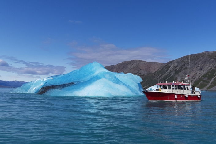 Blue Iceberg. Photo by Blue Ice Explorer