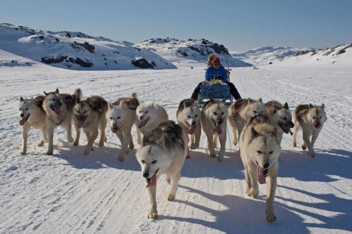 Dog sledding trip near Disko Bay. Photo by Thomas Eltorp, Visit Greenland