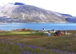 A view over parts of Igaliku on a summer day in South Greenland. Photo by David Trood 2